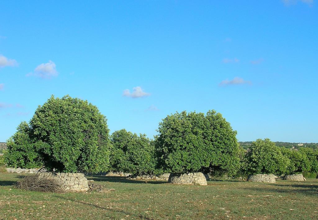 Casa Vacanze Sogno Siciliano Santa Croce Camerina Exteriér fotografie